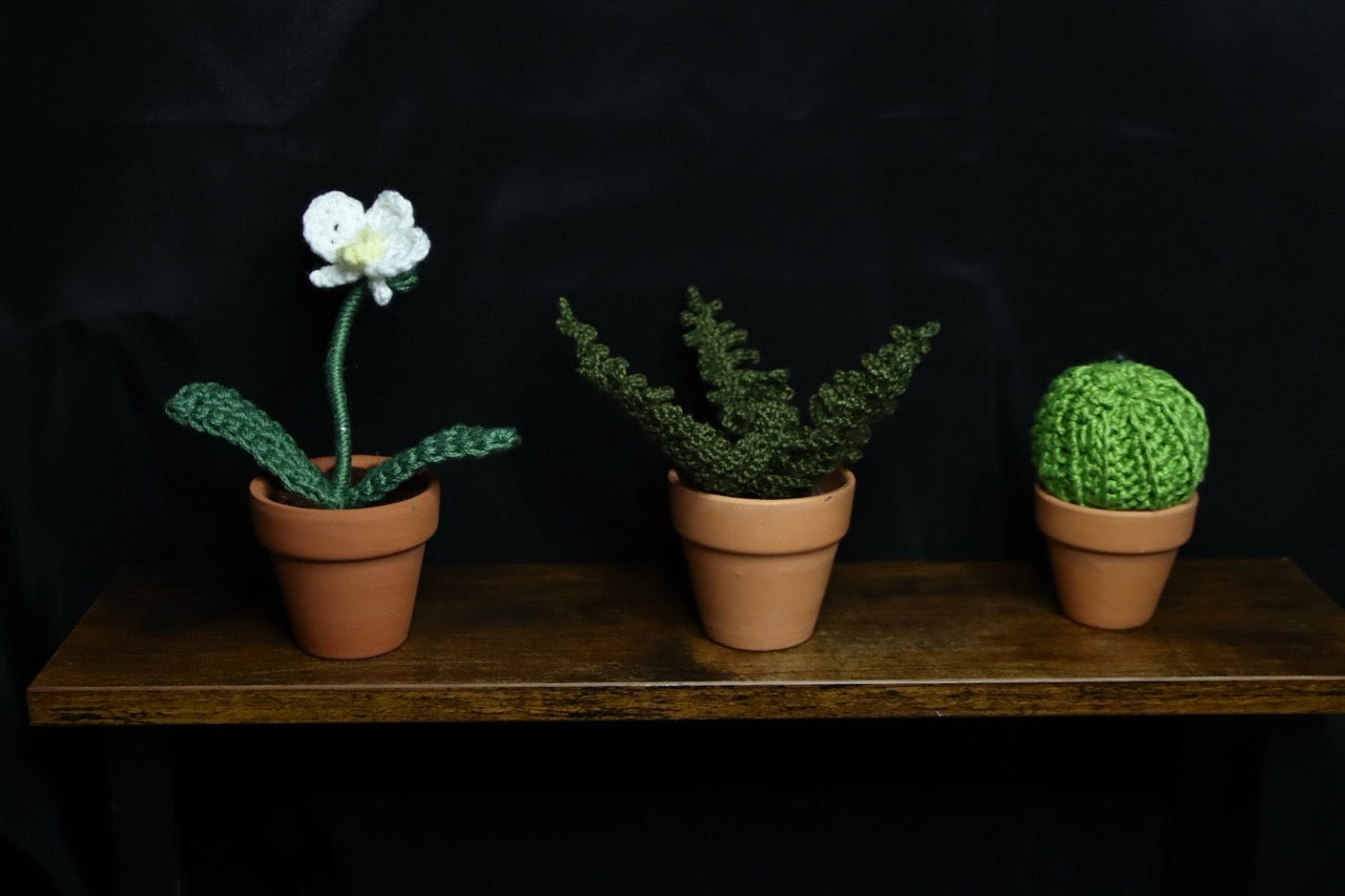 Mini Crochet Plants