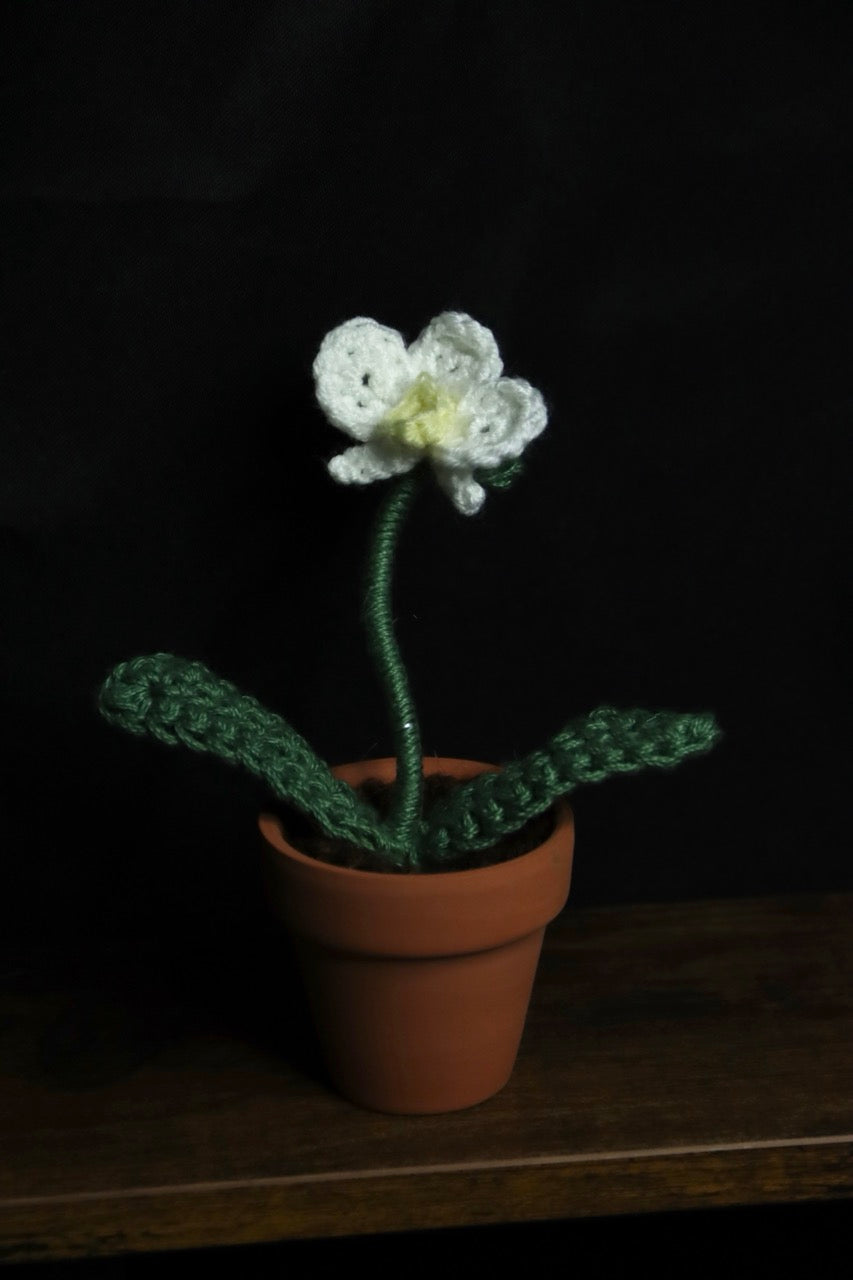 Mini Crochet Plants
