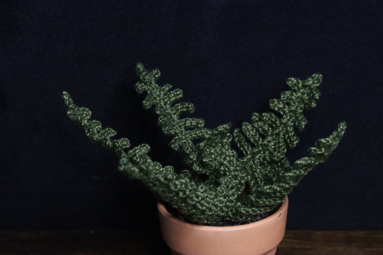Mini Crochet Plants