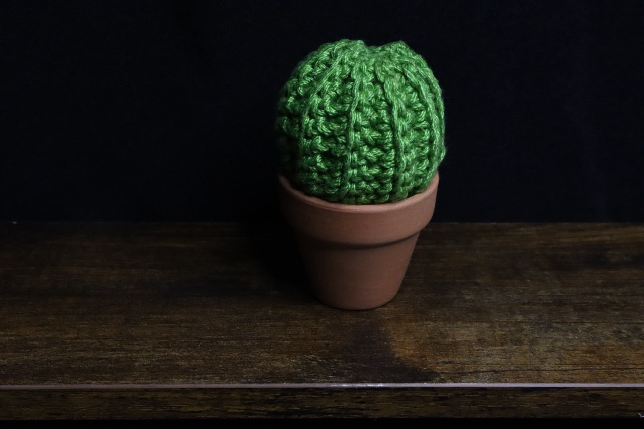 Mini Crochet Plants