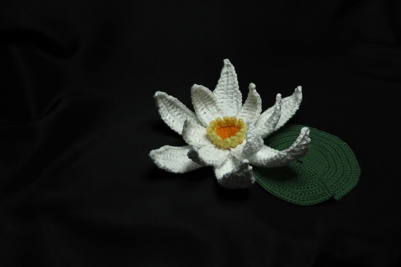 Crochet Flowers