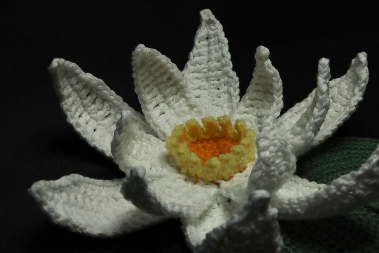 Crochet Flowers