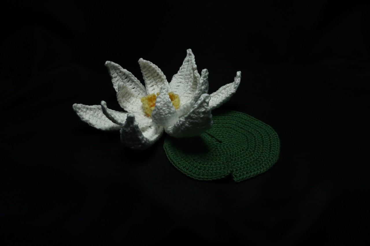 Crochet Flowers