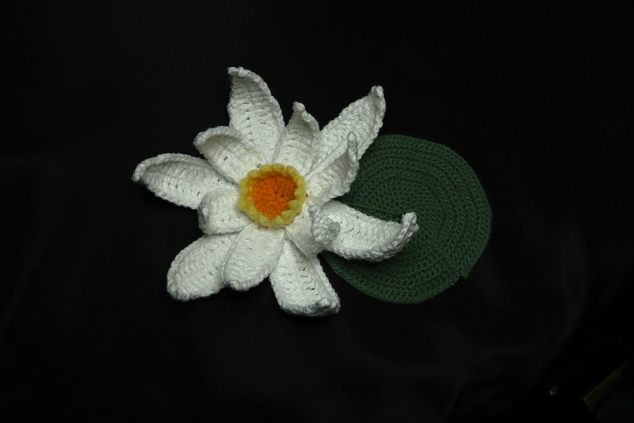 Crochet Flowers