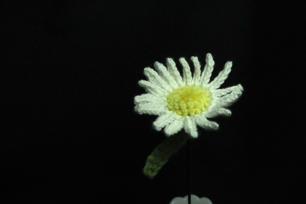 Crochet Flowers