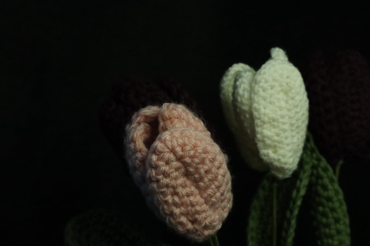 Crochet Flowers