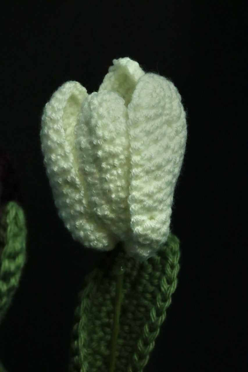 Crochet Flowers