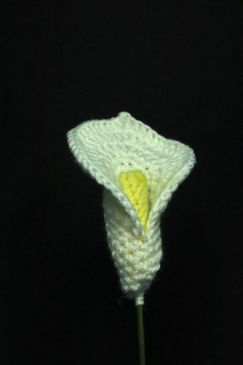 Crochet Flowers