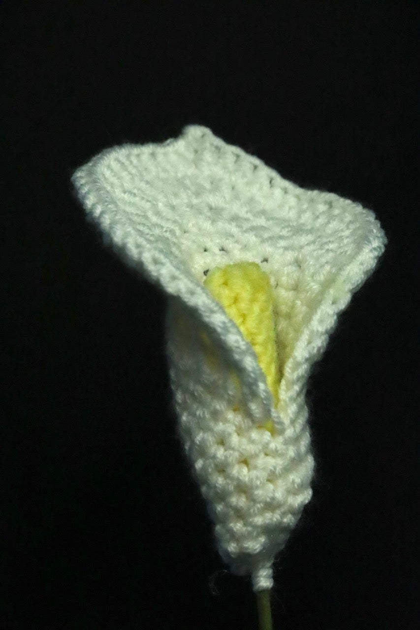 Crochet Flowers