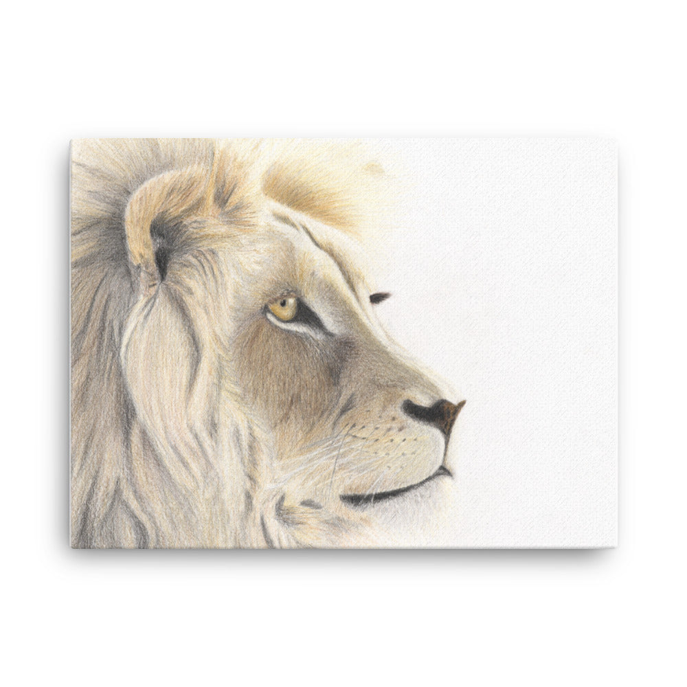 Lion Gaze tyndt lærred