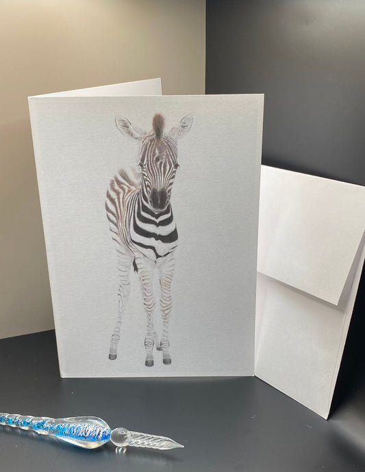 Zebra Foal Card