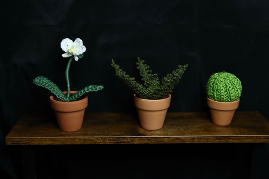 Mini Crochet Plants