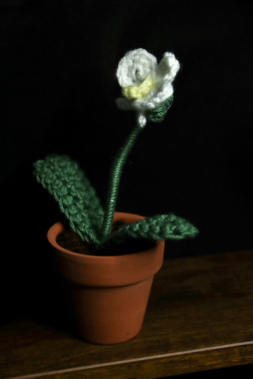 Mini Crochet Plants