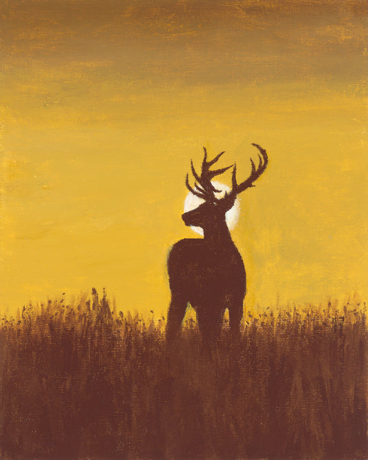 Elk Sunset Print