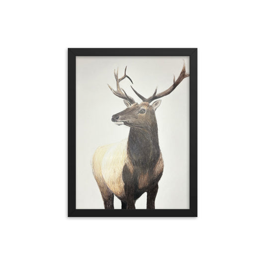 Elk Stance Framed Poster