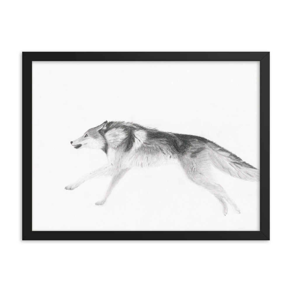 Running Wolf Indrammet plakat