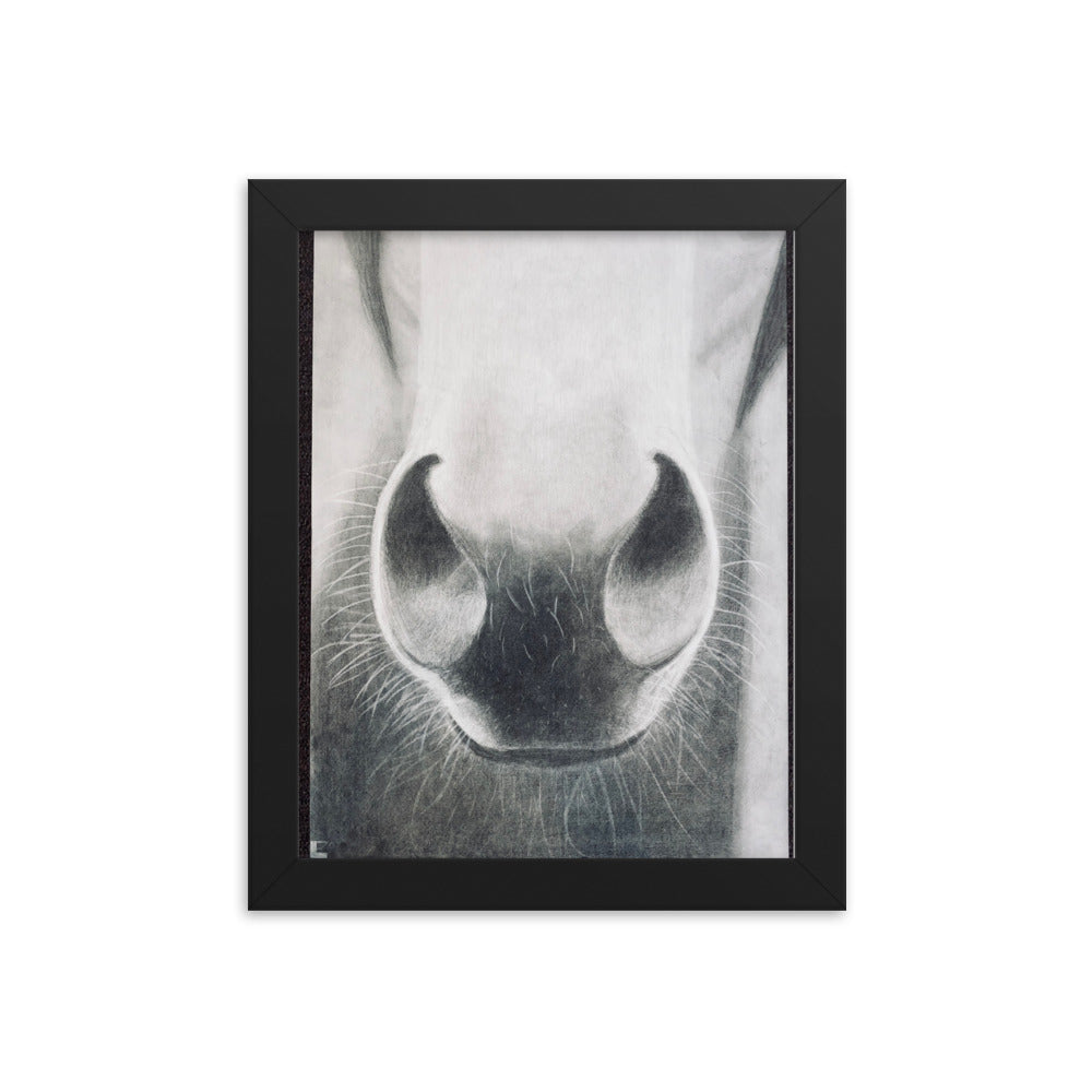 Horse Whisker Framed Poster