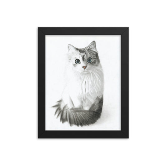 Cat Stare Framed Poster