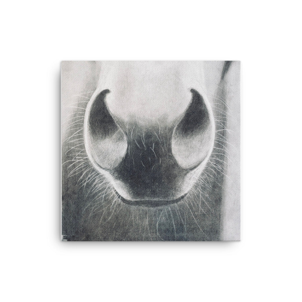 Horse Whiskers Thin Canvas