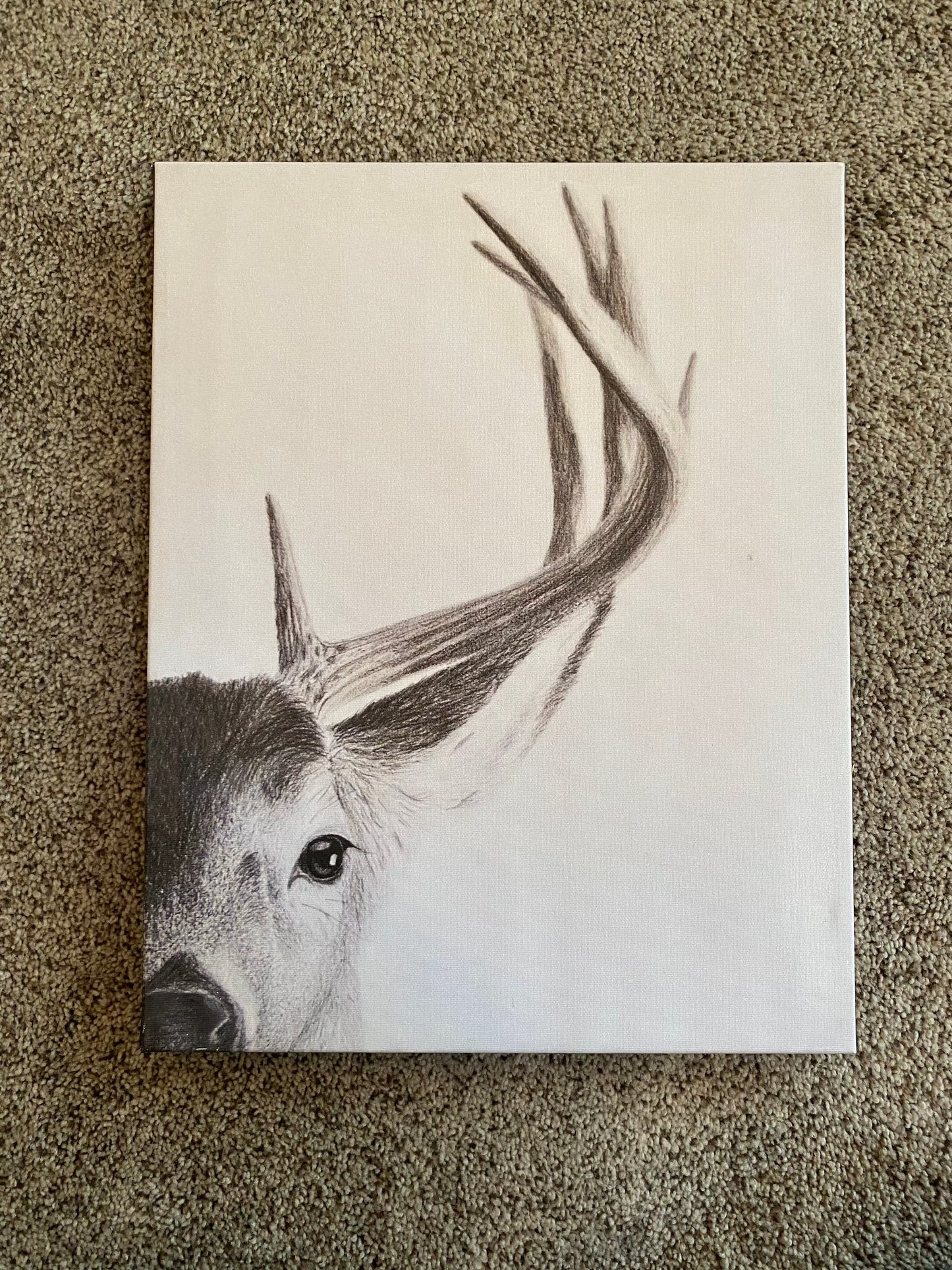 Half Buck Face Canvas