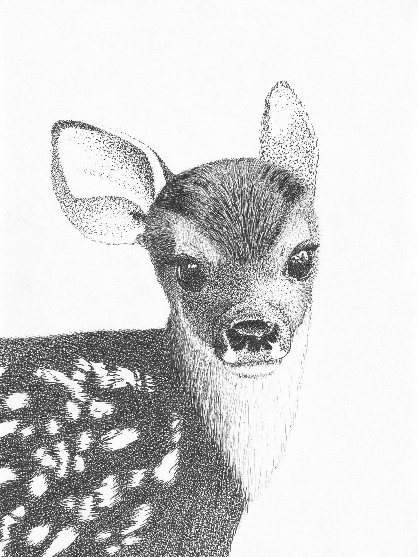 Stippling Fawn Card