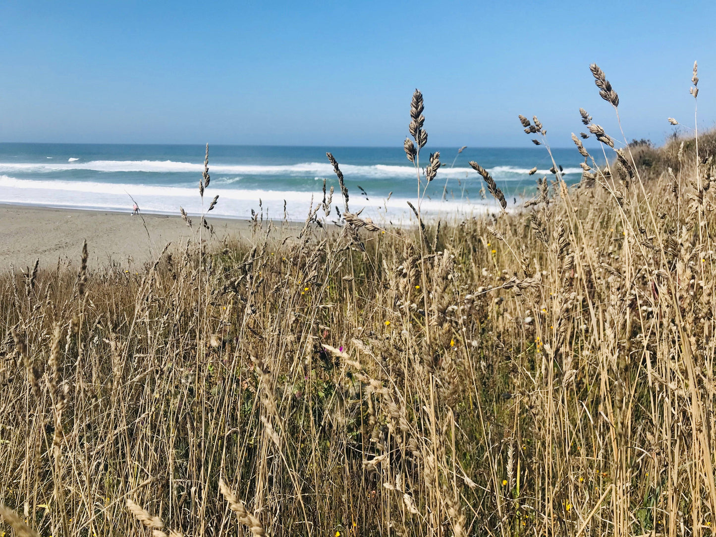 Beach Picture Canvas