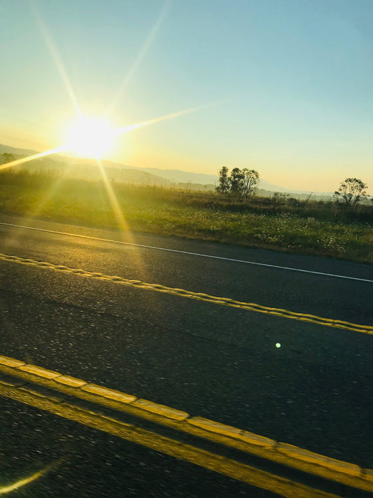 Ferndale Sunrise Picture Canvas