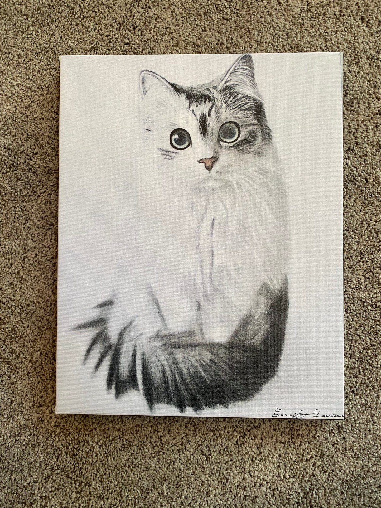 Cat Stare Canvas